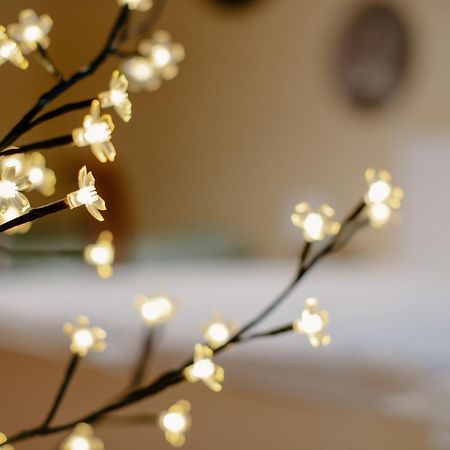 Apartman Dobre Rano Banská Štiavnica Dış mekan fotoğraf